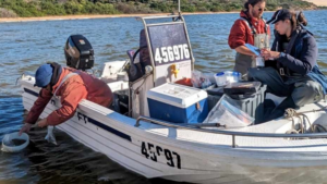 Three environmnetal scientists in a boat on the Coorong testing water salinity levels