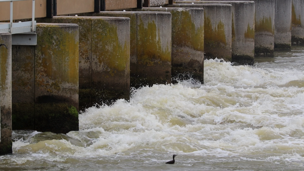 Barrage Flows 