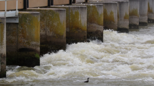 Barrage flows by Connor Gervais